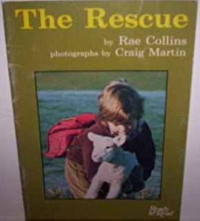 The Rescue Rae Collins Craig Martin