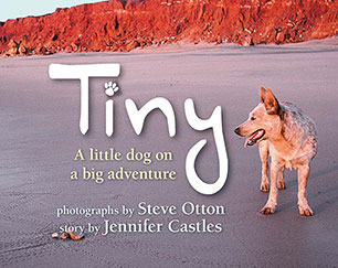 Tiny A little Dog on a Big Adventure Jennifer Castles Steve Otton