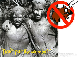 Don’t Pat the Wombat