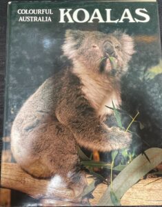 Colourful Australia Koalas