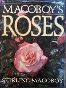 Macoboy’s Roses