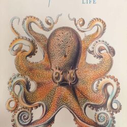 Other Minds- The Octopus and the Evolution of Intelligent Life Peter Godfrey-Smith