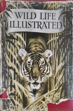 Wild Life Illustrated Odhams Press (Editor)