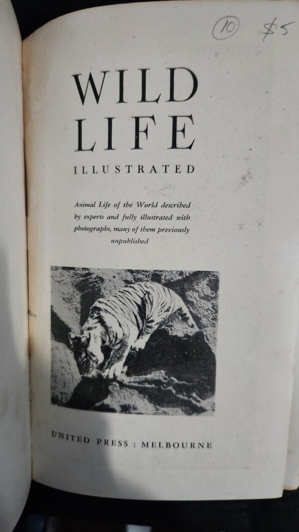 Wild Life Illustrated Odhams Press (Editor) - inside