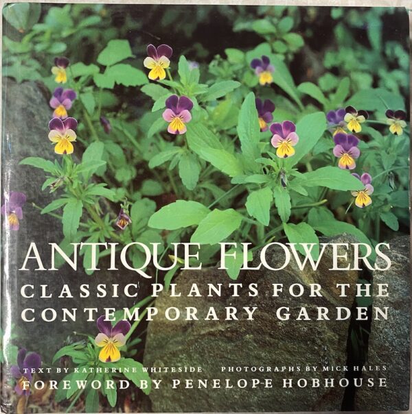 Antique Flowers- Classic Plants for the Contemporary Garden Katherine Whiteside