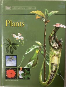 Indonesian Heritage V04: Plants