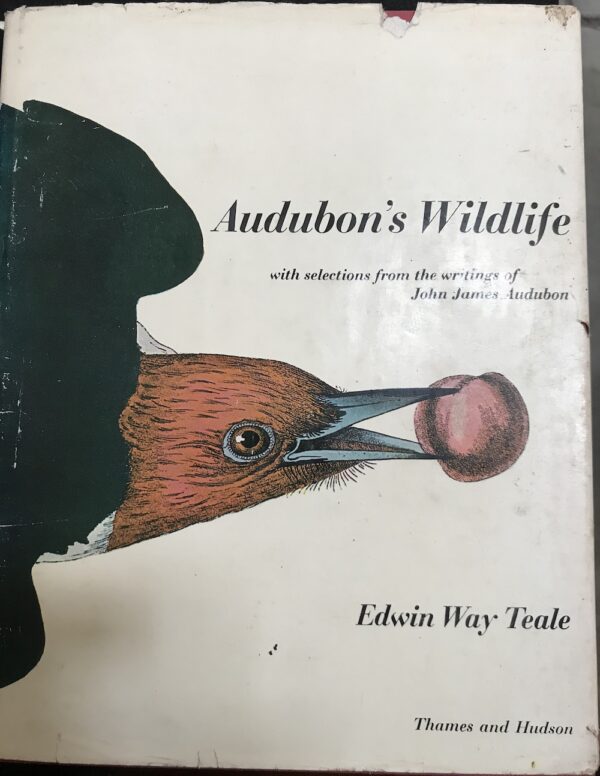 Audubon's Wildlife Edwin Way Teale