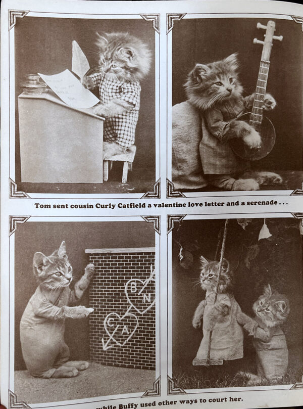 Cat Tales Family Album Harry Whittier Freese
