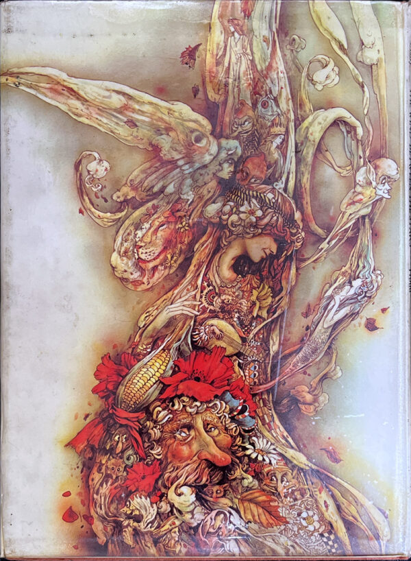 The Wind Between the Stars Margaret Mahy Brian Froud - back