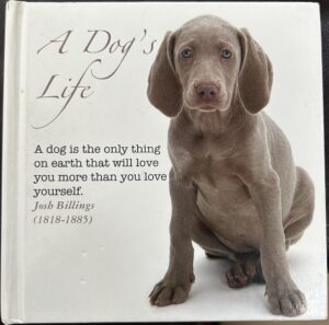 A Dog’s Life Bizzybee Publishing