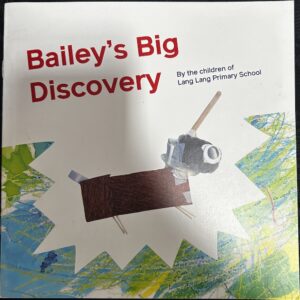 Bailey’s Big Discovery