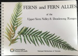Ferns and Fern Allies National Herbarium of Victoria
