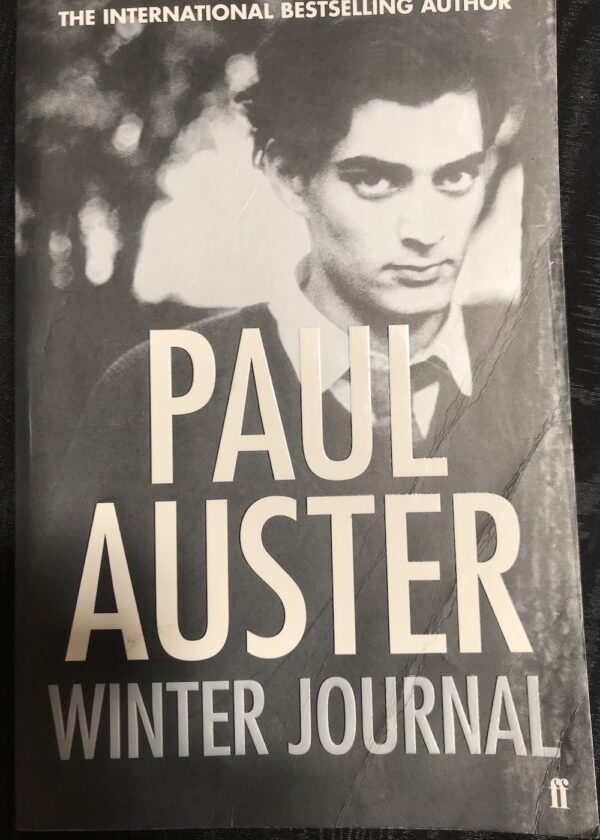Winter Journal Paul Auster