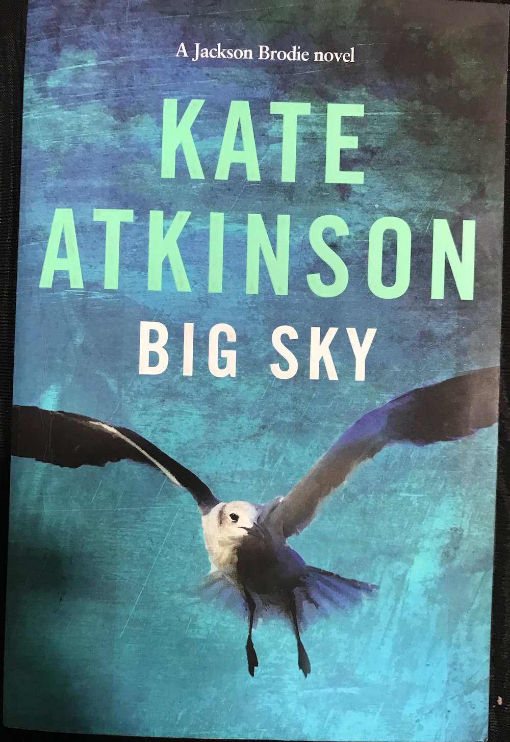 Big Sky Kate Atkinson Jackson Brodie 5