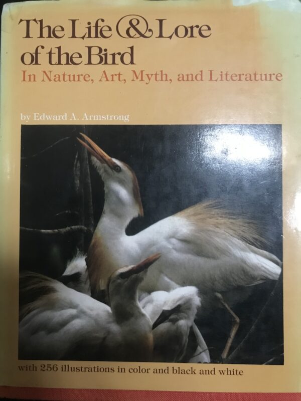 Life and Lore of the Bird Edward A Armstrong