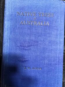 Native Trees of Australia