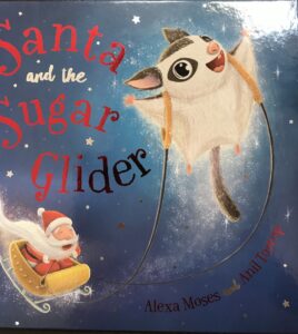 Santa and the Sugar Glider
