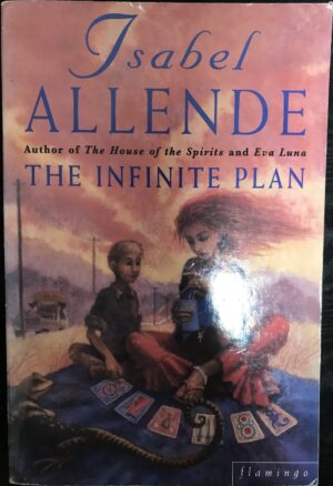 The Infinite Plan Isabel Allende