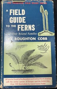 A Field Guide to the Ferns and Their Related Families