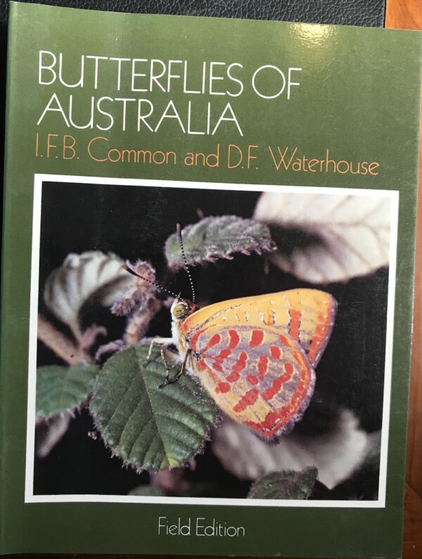 Butterflies of Australia IFB Common DF Waterhouse