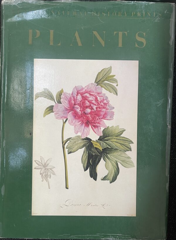 Classic Natural History Prints- Plants Eve Robson