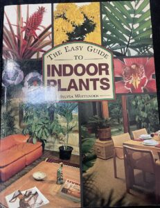 Easy Guide to Indoor Plants