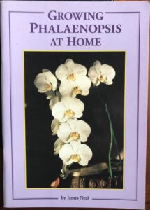 Growing Phalaenopsis At Home