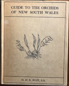 Guide to the Orchids of New South Wales