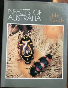 Insects of Australia