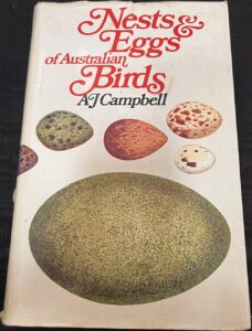 Nests & Eggs of Australian Birds
