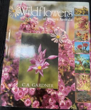 Wildflowers of Western Australia Charles Austin Gardner