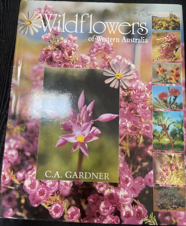 Wildflowers of Western Australia Charles Austin Gardner