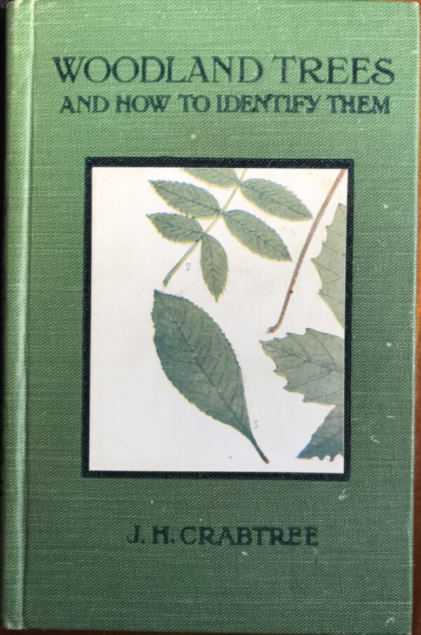 Woodland Trees and How to Identify Them JH Crabtree