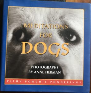 Meditations For Dogs: Pithy Poochie Ponderings