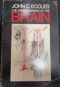 The Understanding of the Brain