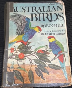 Australian Birds Robin Hill