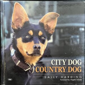 City Dog Country Dog Sally Harding