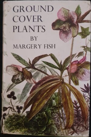 Ground Cover Plants Margery Fish