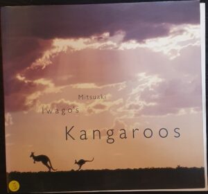 Mitsuaki Iwago's Kangaroos Mitsuaki Iwago