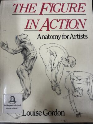 The Figure in Action Anatomy for Artists Louise Gordon