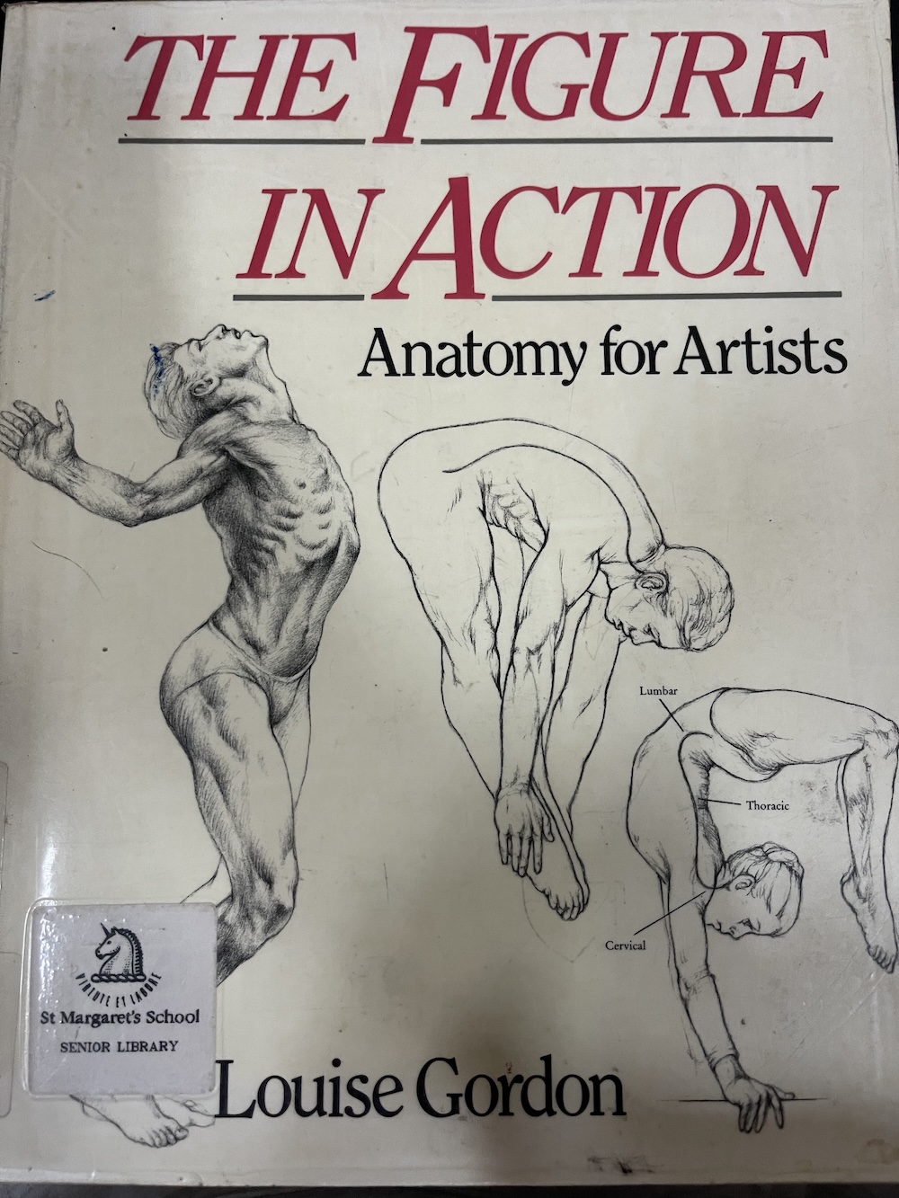 The Figure in Action Anatomy for Artists Louise Gordon