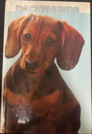 Dachshunds Edita Van Der Lyn