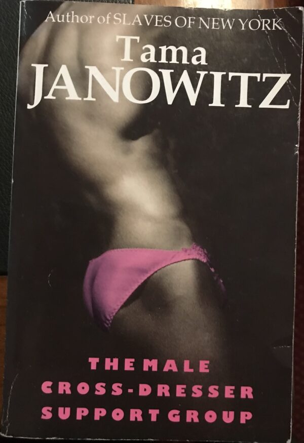 The Male Cross Dresser Support Group Tama Janowitz