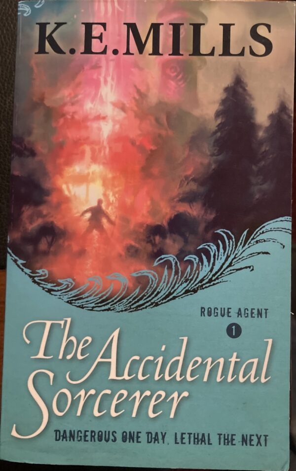 The Accidental Sorcerer KE Mills Rogue Agent