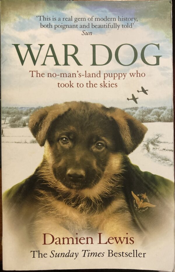 War Dog Damien Lewis