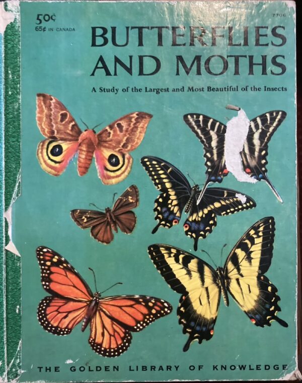 Butterflies and Moths Richard A Martin Rudolf Freund, James Gordon Irving, Eloise Wilkin