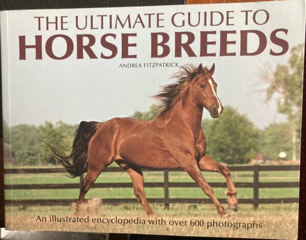 The Ultimate Guide to Horse Breeds Andrea Fitzpatrick