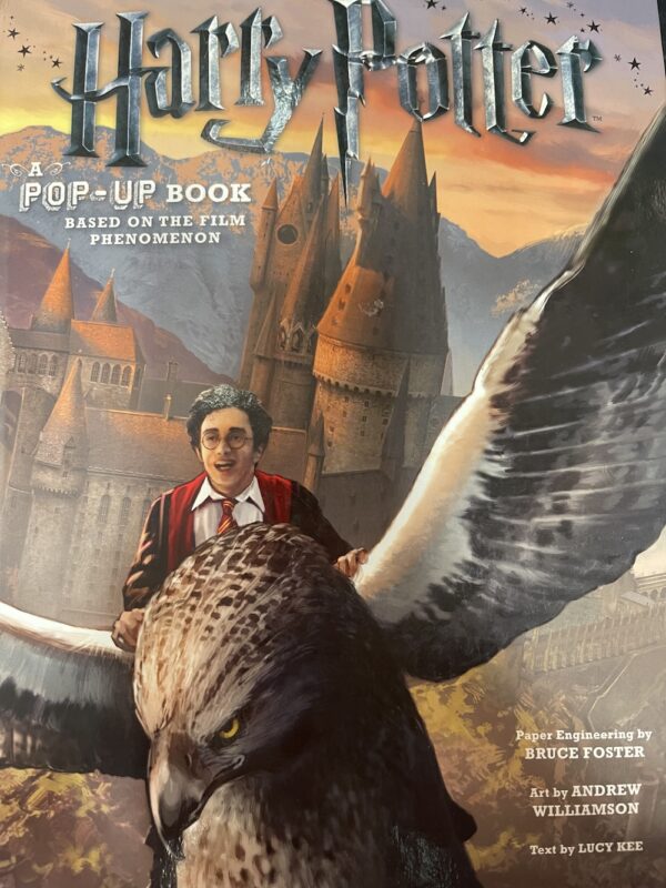 Harry Potter A Pop Up Book Lucy Kee Andrew Williamson (Illustrator)