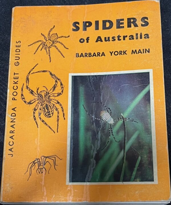 Spiders of Australia Barbara York Main