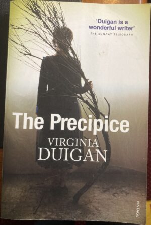 The Precipice Virginia Duigan